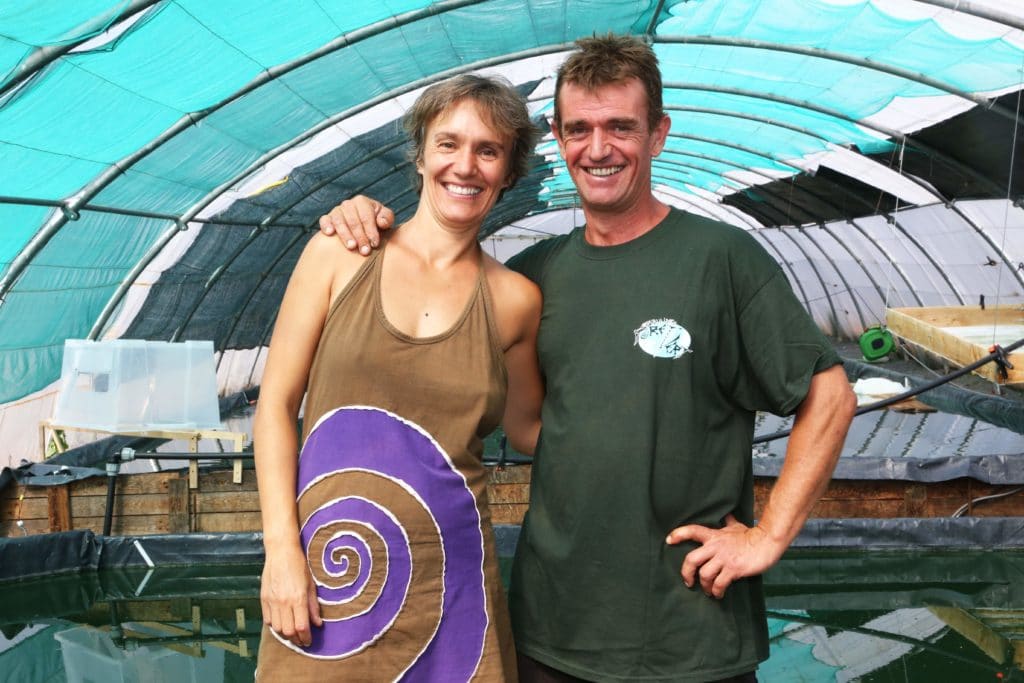 les spiruliniers
