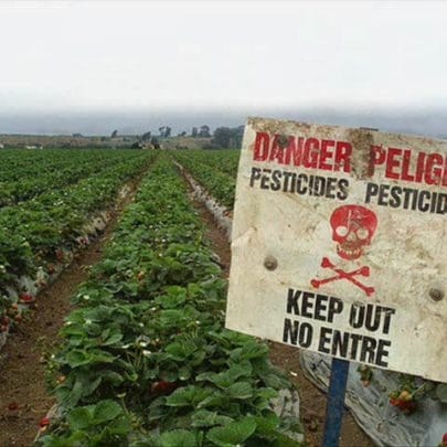 pesticides danger